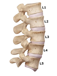 lumbar